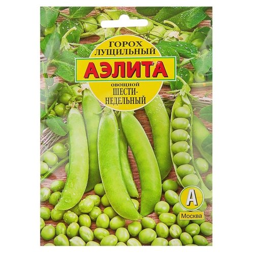 ���������� ������ ��������� ������ ����� ������� �������������� ��������� 25 �