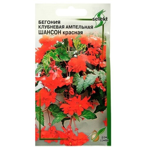 ���������� ������ ������ ������� ���������, ���������, �������� 