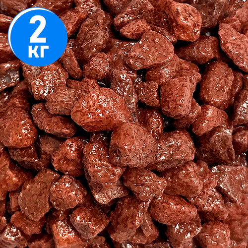 ���������� ����������� ����� ��� ��������, ����������� � ��������, Zoo One, ��������� ��������, 