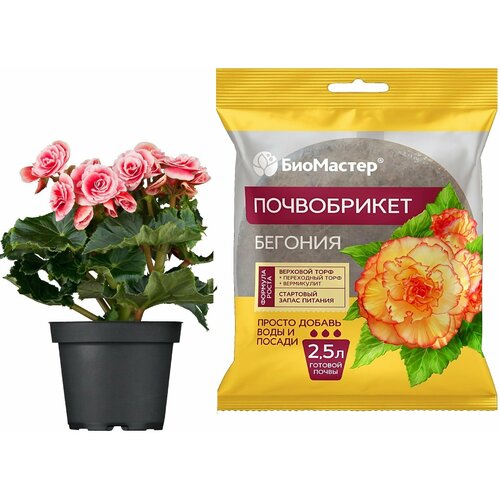 ���������� ����������� 