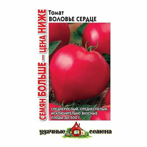 ���������� ������ ����� ������� ������ , ������������, (������) 5� (������� ������) ����� ������