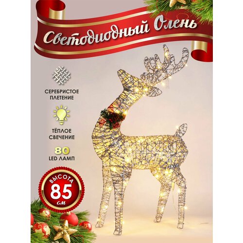 ���������� ����� ���������� ������������ ���������� 80 �� ����������