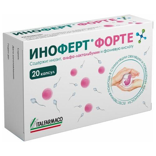 ���������� ������� ����� ������� 1650�� N20