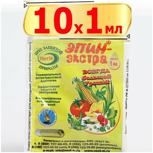 ���������� ����-������