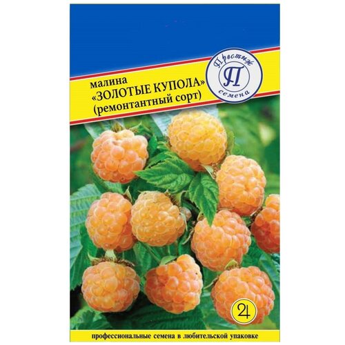 ���������� ������ ������� ������ (������������ ����). ������. ������ ����� �� 200 ��. ��� ����� ����� �� 5-6 ��.