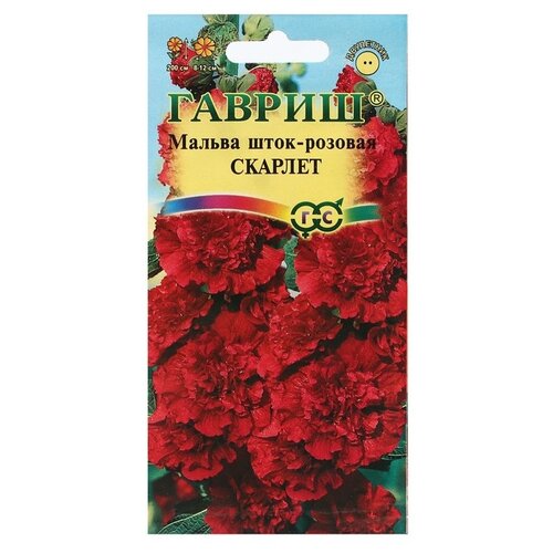 ���������� ������ ������ ������ ������� ����-������� 0,1 �