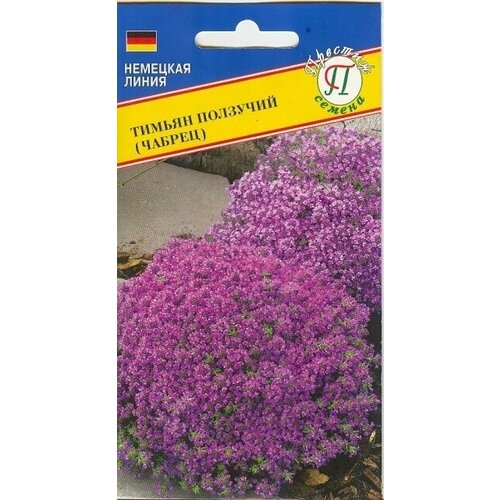 ���������� ������ �������� (������). ������. �����������. ����������� ������������� �� ����������� ��������, ������� 15-20 ��. ������ ������-����������, ������� � ��������� ��������