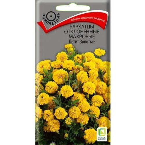 ���������� ������ ������ 