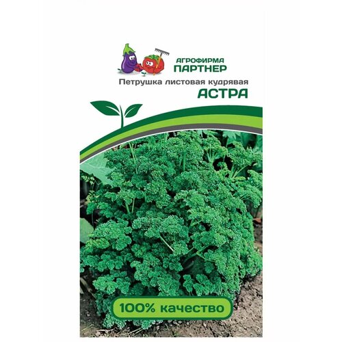 ���������� ������ �������� �������� �������� ������� ����� 3 ��