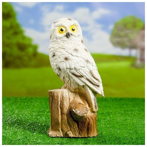 ���������� ������� ������ 