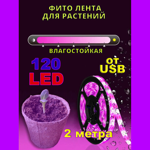 ���������� ��������� ��� ��������, 2 �����