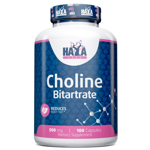 Haya Labs Choline Bitartate 500  ( ) 100  (Haya Labs)   , -, 