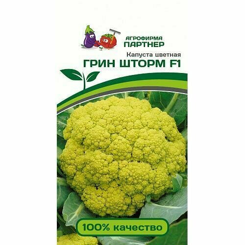 ���������� ������ ������� ������� ���� ����� F1 (10��).