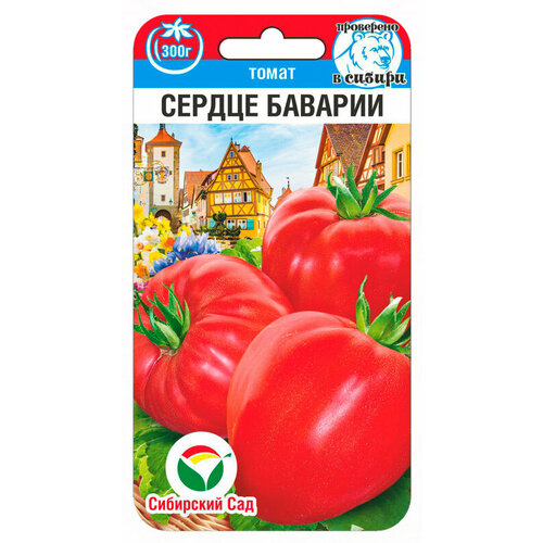 ���������� ������ ����� ������ ������� 20�� ��� ������ (��������� ���)