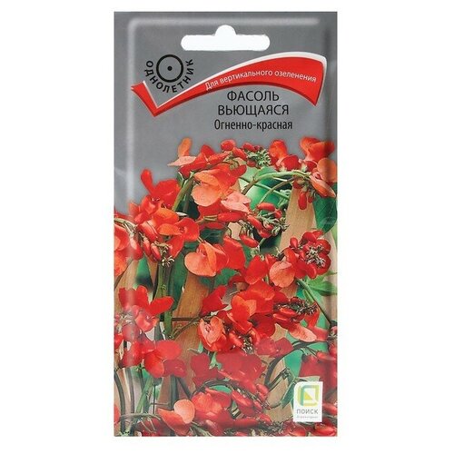 ���������� ������ �������� �������-�������, 5 ��.