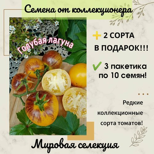 ���������� ����� ������� ������, ����������������, ���������� ��������, ������ �� �������������