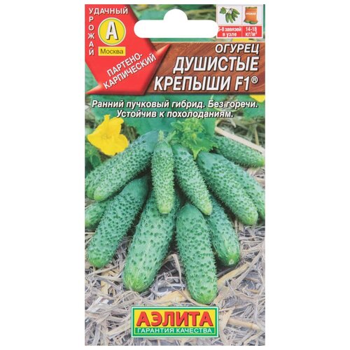 ���������� ������ �������� ������� F1 10 ��.