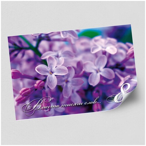 ���������� ����������/������ �������������� �� 8 ����� / �-1 (84x60 ��.)