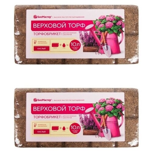 ���������� ����������� �������� ���� ������ ���������, 2 �� �� 10 �