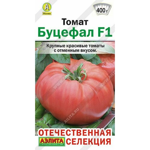 ���������� ����� ������� F1