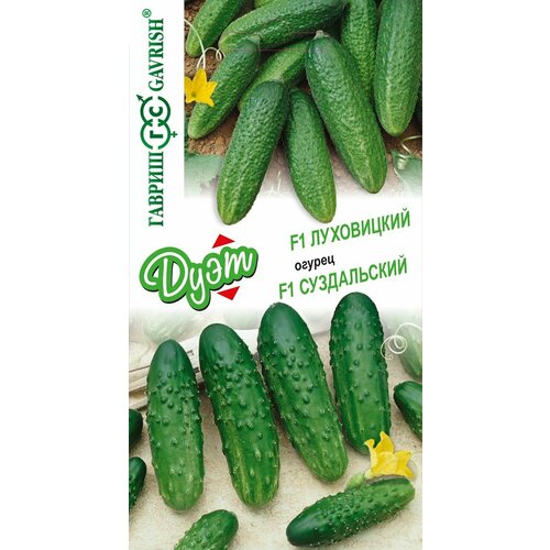 ���������� ������ ������ ���� ������ ���������� F1+������ ����������� F1 (1��-20���.).