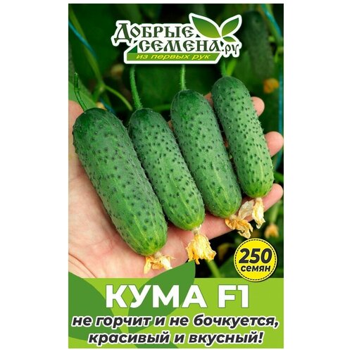 ���������� ������ ������ ���� F1 - 250 �� - ������ ������. ��