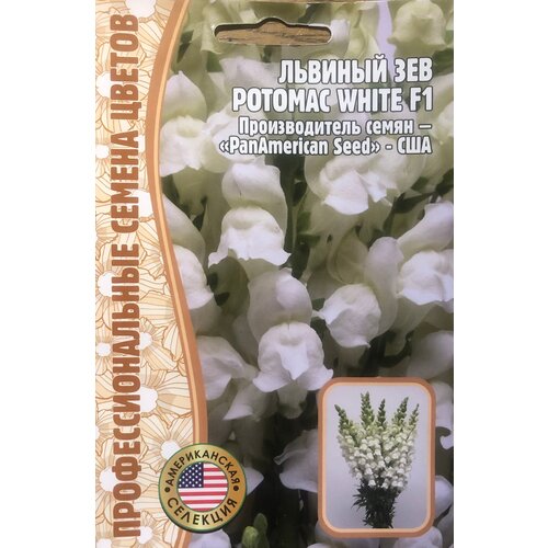    () (Antirrhinum majus Potomac) Potomac White F1 (5 )   , -, 