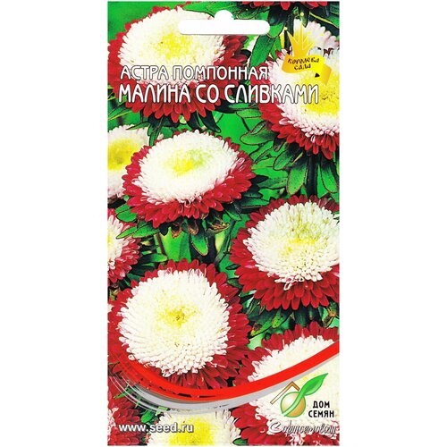 ���������� ����� ��������� ������ �� ��������, 100 �����