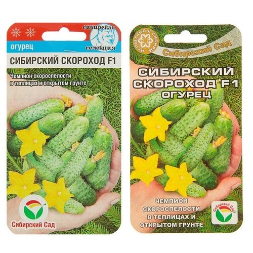 ���������� ������ ������ 