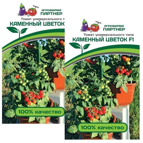 ���������� ������ ����� �������� ������ F1 /��������� �������/ 2 �������� �� 5 �����