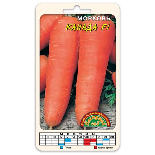 ���������� ������ �������� ��� 