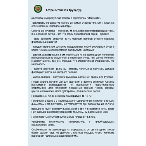 ���������� ������ ����� ��������� 