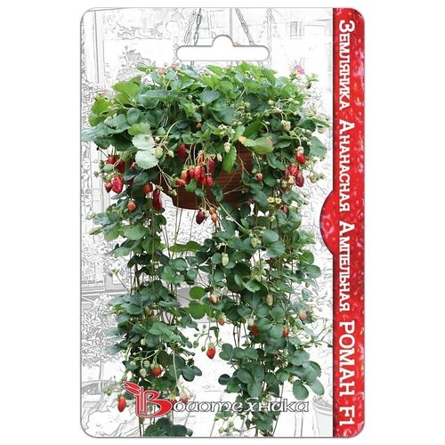 ���������� ���������� ��������� ��������� ��������� ����� F1