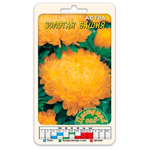 ���������� ����� ����� ����� ������� ����������� (������ �������� ��� 0,2 �)