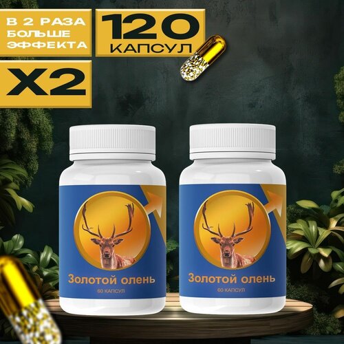 ���������� ������� ����� ������� ��� ��������� ������� ��������