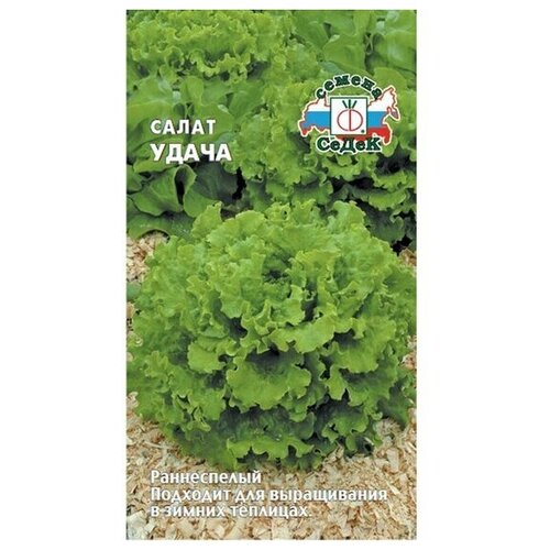 ���������� ������ ������ ����� ����� 0,5�