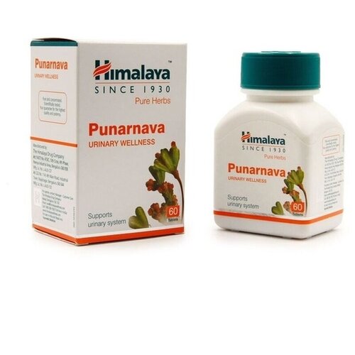 Punarnava, 60 .   , -, 