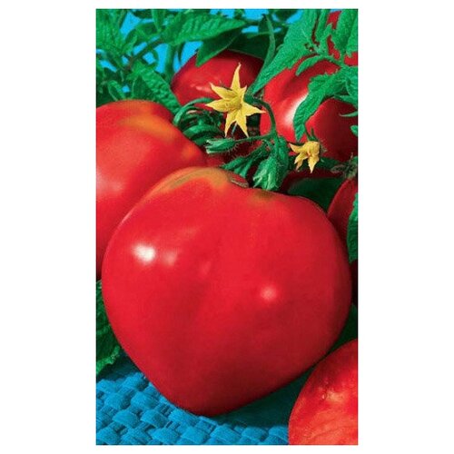 ���������� ����� ����� ������ ������������ ~ 20 �����