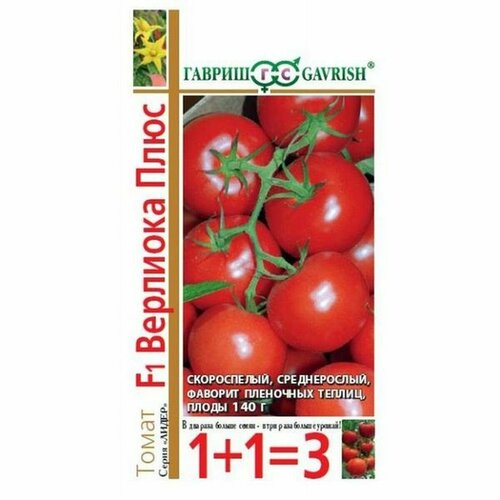 ���������� ������ ����� �������� F1 (������������) (�����������) (������) 24�� ���1+1