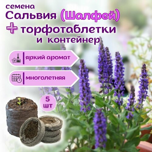 ���������� ������ ������ ����������� �����, ������� ��������� + �������� �������� Jiffy � �������, 5 ��