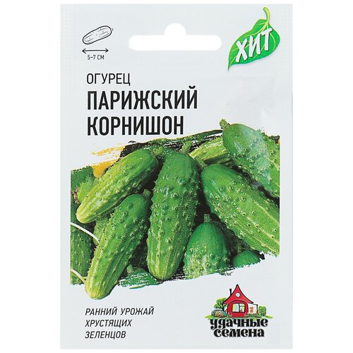 ���������� ������ ������ 