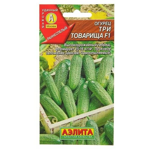 ���������� ������ ������ 