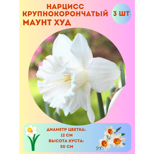 ���������� ������� ����� ���, ����������� �����, �������� 3 ��