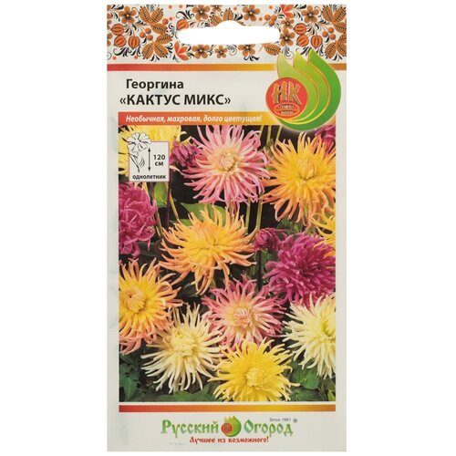 ���������� ������ ������ �������� 