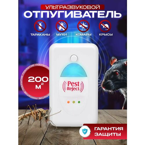 ���������� �������������� ������������ ����� � ���������