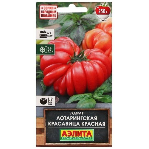 ���������� ������ ����� 