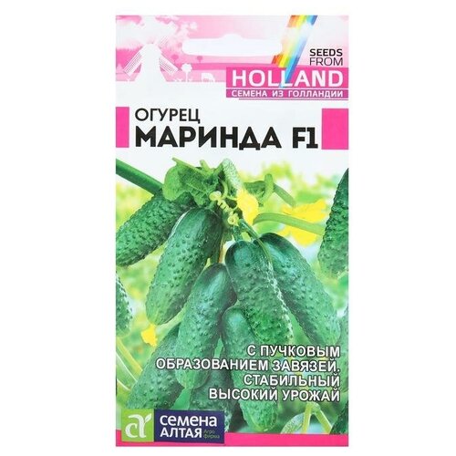 ���������� ������ ������ 