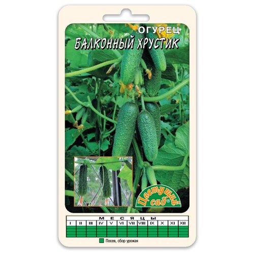 ���������� ������ �������� ��� 