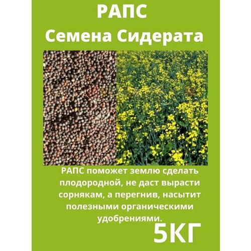 ���������� ���� ������ �������� ����� �������� 5 ��