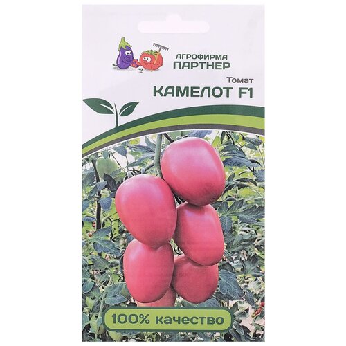 ���������� ������ ����� 